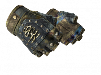★ Hydra Gloves Case Hardened